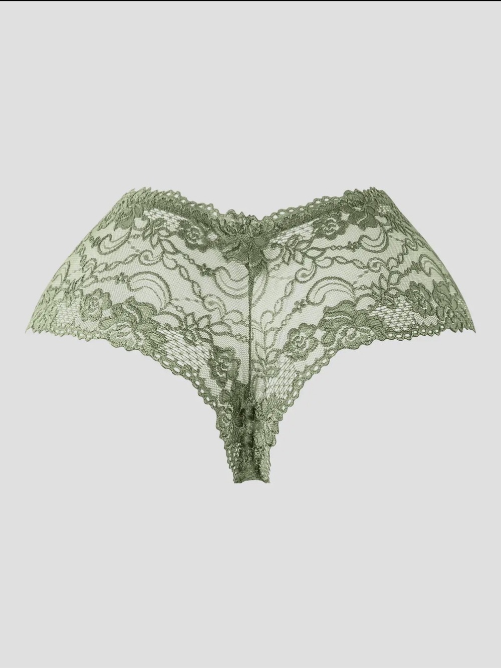 NWT Lace Hipster Panty | Sage Green | Plus Sizes